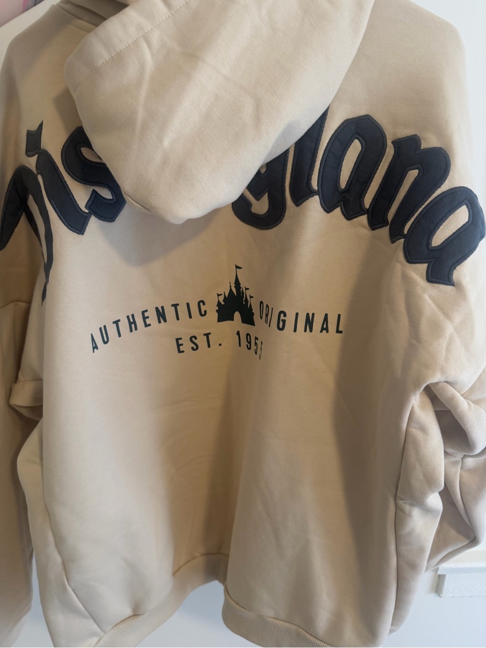 Disneyland sweater